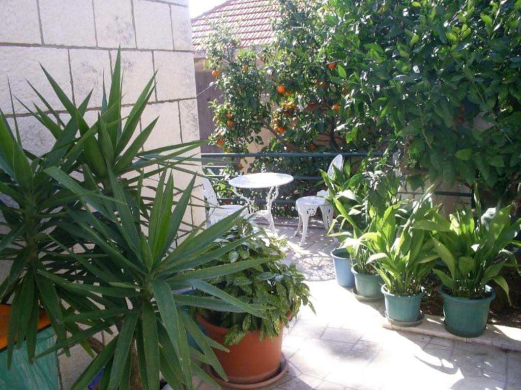 Dubrovnik Sea View Apartment Eksteriør billede